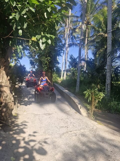 ATV jungle adventure